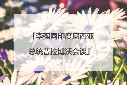 李强同印度尼西亚总统普拉博沃会谈