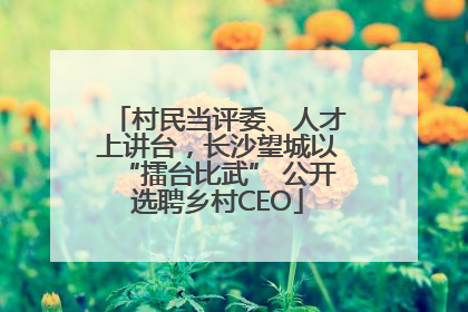 村民当评委、人才上讲台，长沙望城以“擂台比武” 公开选聘乡村CEO