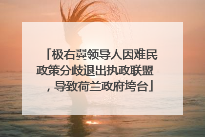 极右翼领导人因难民政策分歧退出执政联盟，导致荷兰政府垮台