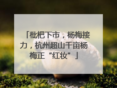 枇杷下市，杨梅接力，杭州超山千亩杨梅正“红妆”