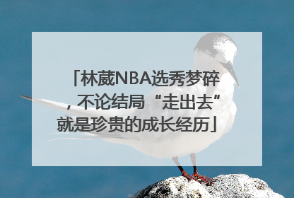 林葳NBA选秀梦碎，不论结局“走出去”就是珍贵的成长经历