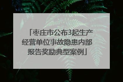 枣庄市公布3起生产经营单位事故隐患内部报告奖励典型案例
