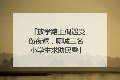 放学路上偶遇受伤夜鹭，聊城三名小学生求助民警