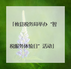 攸县税务局举办“智税服务体验日”活动