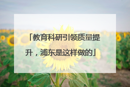 教育科研引领质量提升，浦东是这样做的