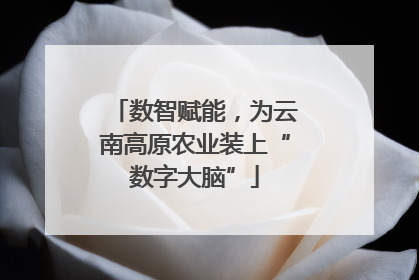 数智赋能，为云南高原农业装上“数字大脑”