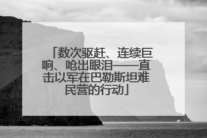 数次驱赶、连续巨响、呛出眼泪——直击以军在巴勒斯坦难民营的行动
