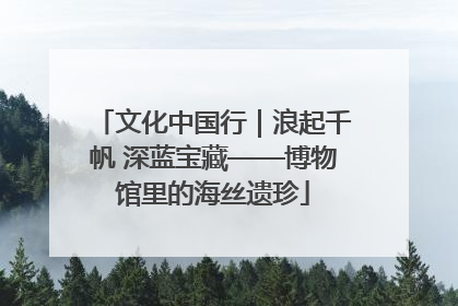 文化中国行｜浪起千帆 深蓝宝藏——博物馆里的海丝遗珍
