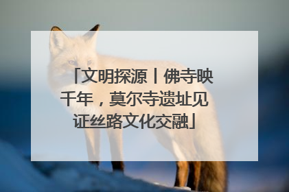 文明探源丨佛寺映千年，莫尔寺遗址见证丝路文化交融