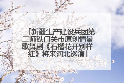 新疆生产建设兵团第二师铁门关市原创情景歌舞剧《石榴花开别样红》将来河北巡演