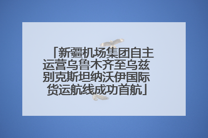 新疆机场集团自主运营乌鲁木齐至乌兹别克斯坦纳沃伊国际货运航线成功首航