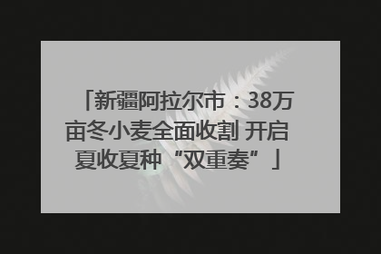 新疆阿拉尔市：38万亩冬小麦全面收割 开启夏收夏种“双重奏”