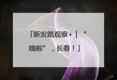 新发路观察+｜“哦啦”，长春！