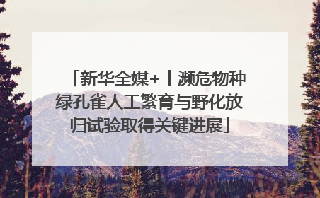 新华全媒+丨濒危物种绿孔雀人工繁育与野化放归试验取得关键进展