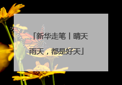 新华走笔丨晴天雨天，都是好天