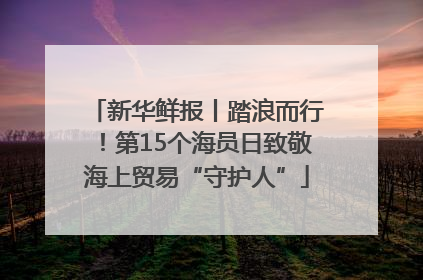 新华鲜报丨踏浪而行！第15个海员日致敬海上贸易“守护人”