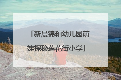 新晨锦和幼儿园萌娃探秘莲花街小学