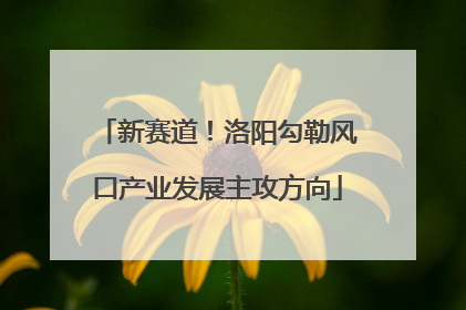新赛道！洛阳勾勒风口产业发展主攻方向