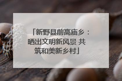 新野县前高庙乡：晒出文明新风景 共筑和美新乡村
