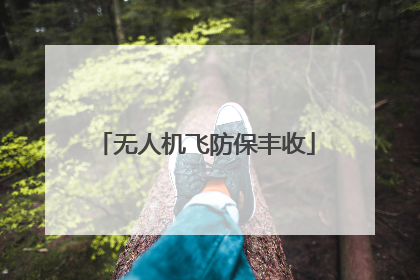 无人机飞防保丰收