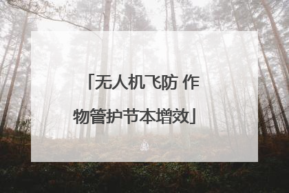 无人机飞防 作物管护节本增效