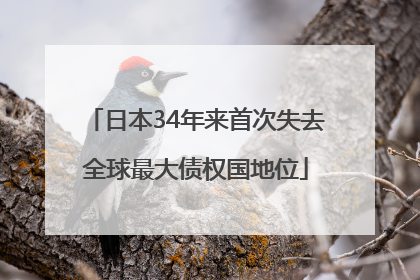 日本34年来首次失去全球最大债权国地位