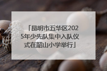 昆明市五华区2025年少先队集中入队仪式在韶山小学举行