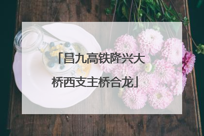 昌九高铁隆兴大桥西支主桥合龙
