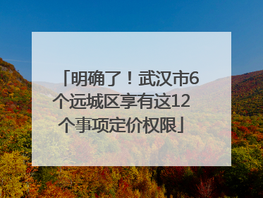 明确了！武汉市6个远城区享有这12个事项定价权限