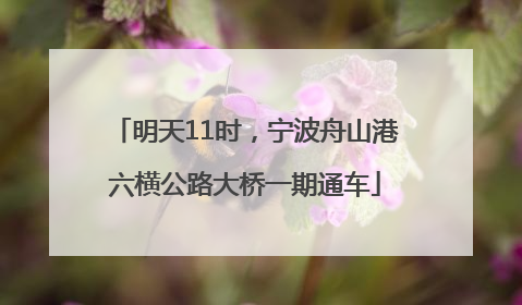 明天11时，宁波舟山港六横公路大桥一期通车
