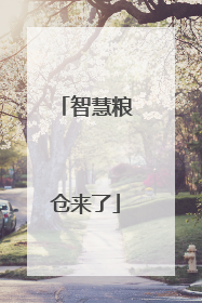 智慧粮仓来了