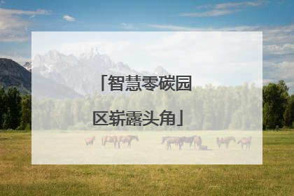 智慧零碳园区崭露头角