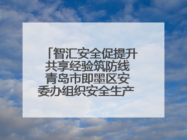 智汇安全促提升 共享经验筑防线 青岛市即墨区安委办组织安全生产共享专家现场观摩学习活动