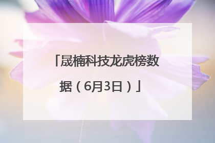 晟楠科技龙虎榜数据（6月3日）