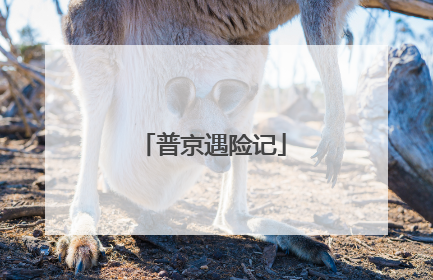 普京遇险记