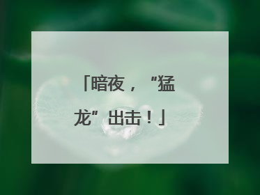 暗夜，“猛龙”出击！