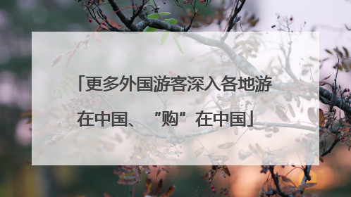 更多外国游客深入各地游在中国、“购”在中国