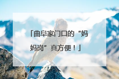 曲阜家门口的“妈妈岗”真方便！