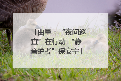 曲阜：“夜间巡查”在行动 “静音护考”保安宁