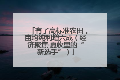 有了高标准农田，亩均纯利增六成（经济聚焦·夏收里的“新选手”）