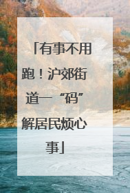 有事不用跑！沪郊街道一“码”解居民烦心事
