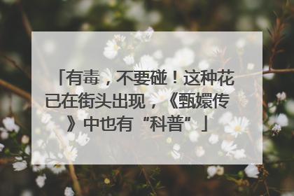 有毒，不要碰！这种花已在街头出现，《甄嬛传》中也有“科普”