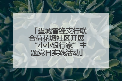 望城雷锋支行联合荷花塘社区开展“小小银行家”主题党日实践活动