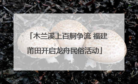 木兰溪上百舸争流 福建莆田开启龙舟民俗活动