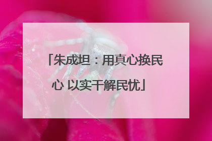 朱成坦：用真心换民心 以实干解民忧