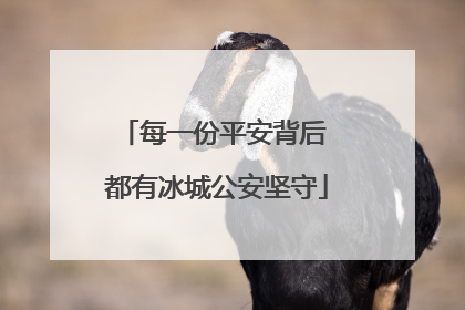 每一份平安背后 都有冰城公安坚守