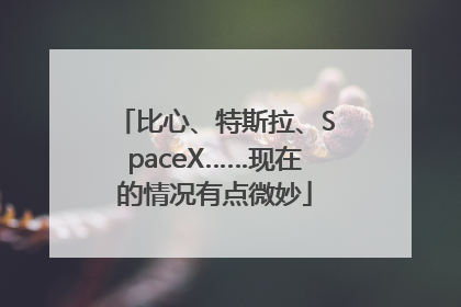 比心、特斯拉、SpaceX……现在的情况有点微妙