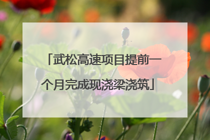 武松高速项目提前一个月完成现浇梁浇筑