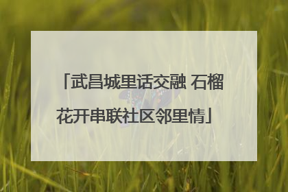 武昌城里话交融 石榴花开串联社区邻里情