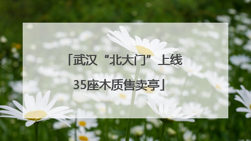 武汉“北大门”上线35座木质售卖亭